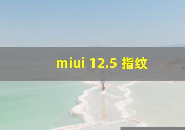 miui 12.5 指纹